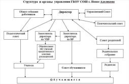 Структура и органы управления